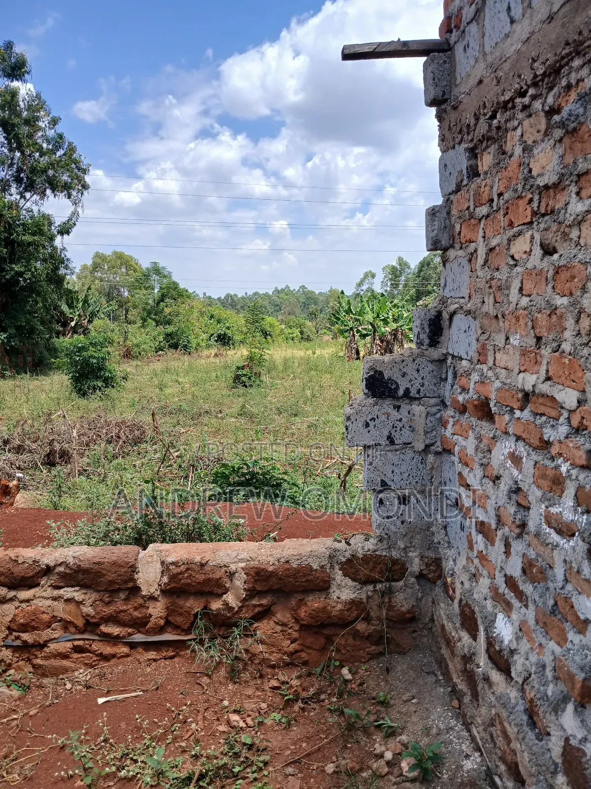 50 by 100 Plot Ready to Build, Electricity and Water on Site