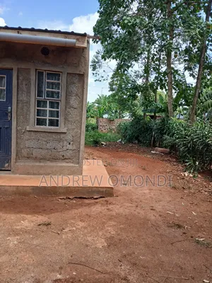 50 by 100 Plot Ready to Build, Electricity and Water on Site