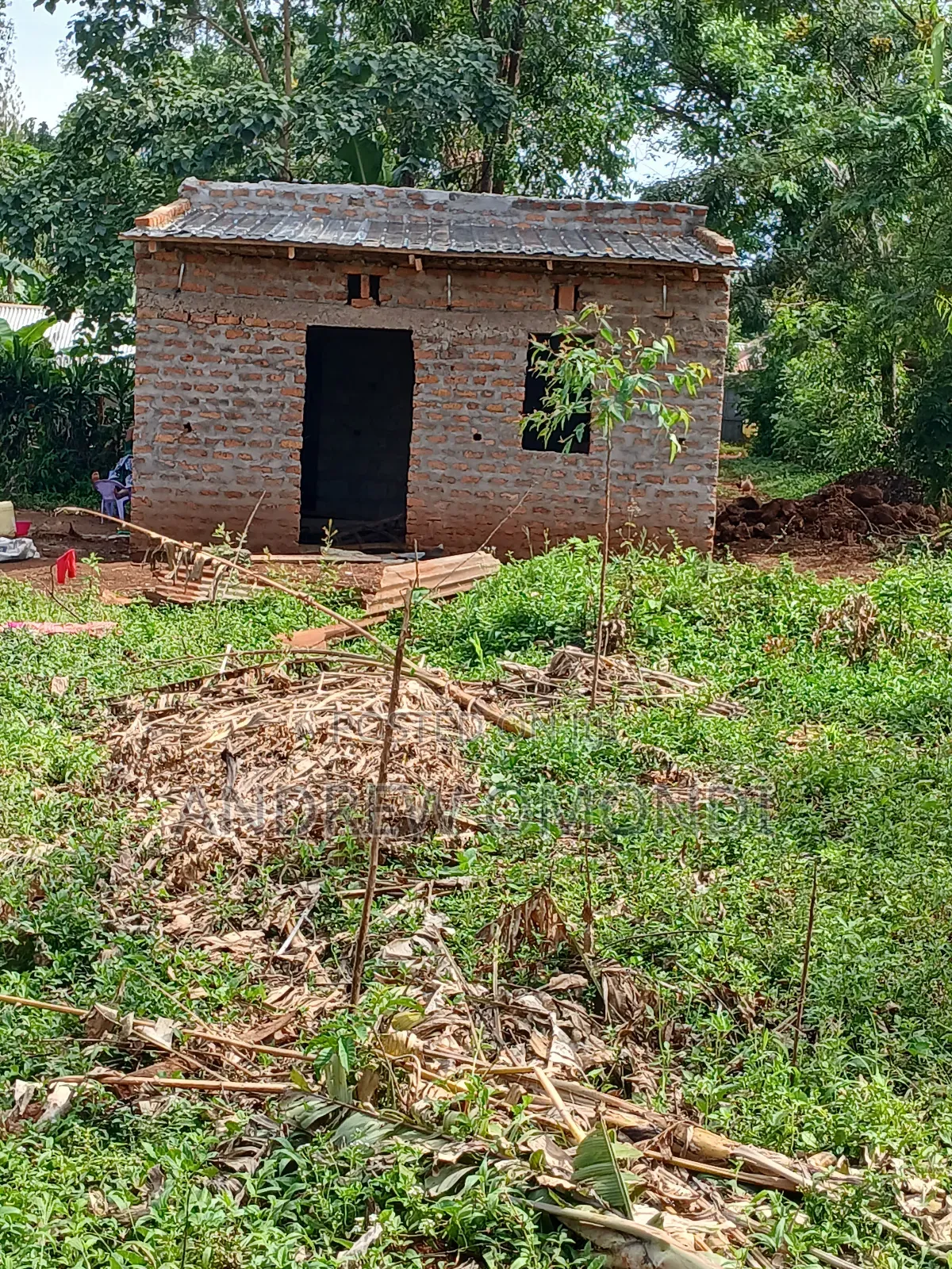 50 by 100 Plot Ready to Build, Electricity and Water on Site