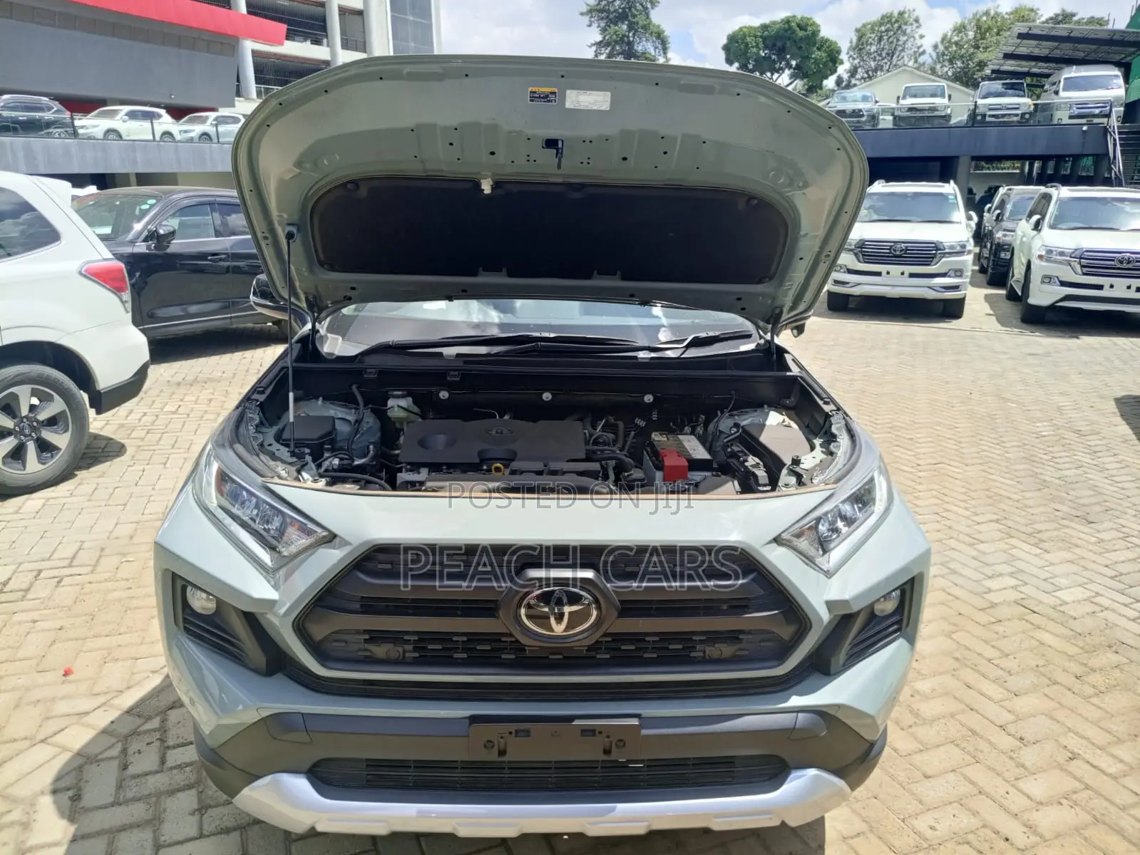 Toyota RAV4 2020 Green