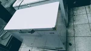 Ramdons Display Freezer