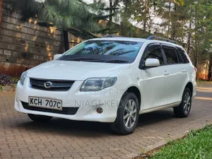 Toyota Corolla Fielder 2009 Pearl