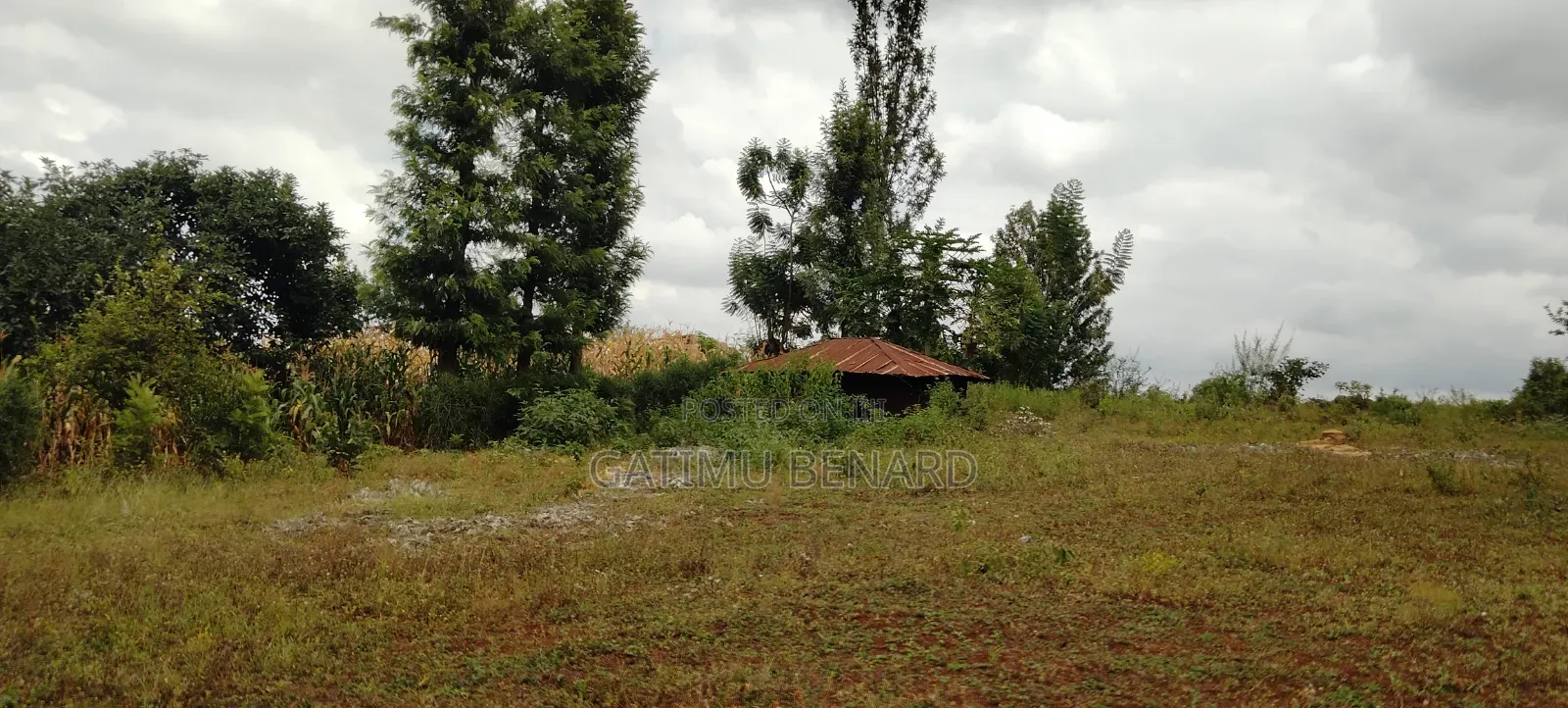 Prime Quarter-Acre Plot for Sale in Kirinyaga Nyangati