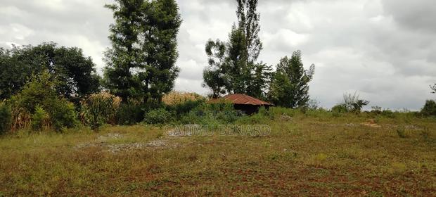Prime Quarter-Acre Plot for Sale in Kirinyaga Nyangati
