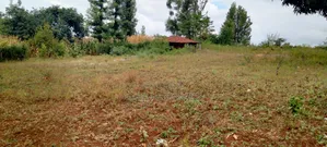 Prime Quarter-Acre Plot for Sale in Kirinyaga Nyangati