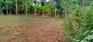 Prime Quarter-Acre Plot for Sale in Kirinyaga Nyangati