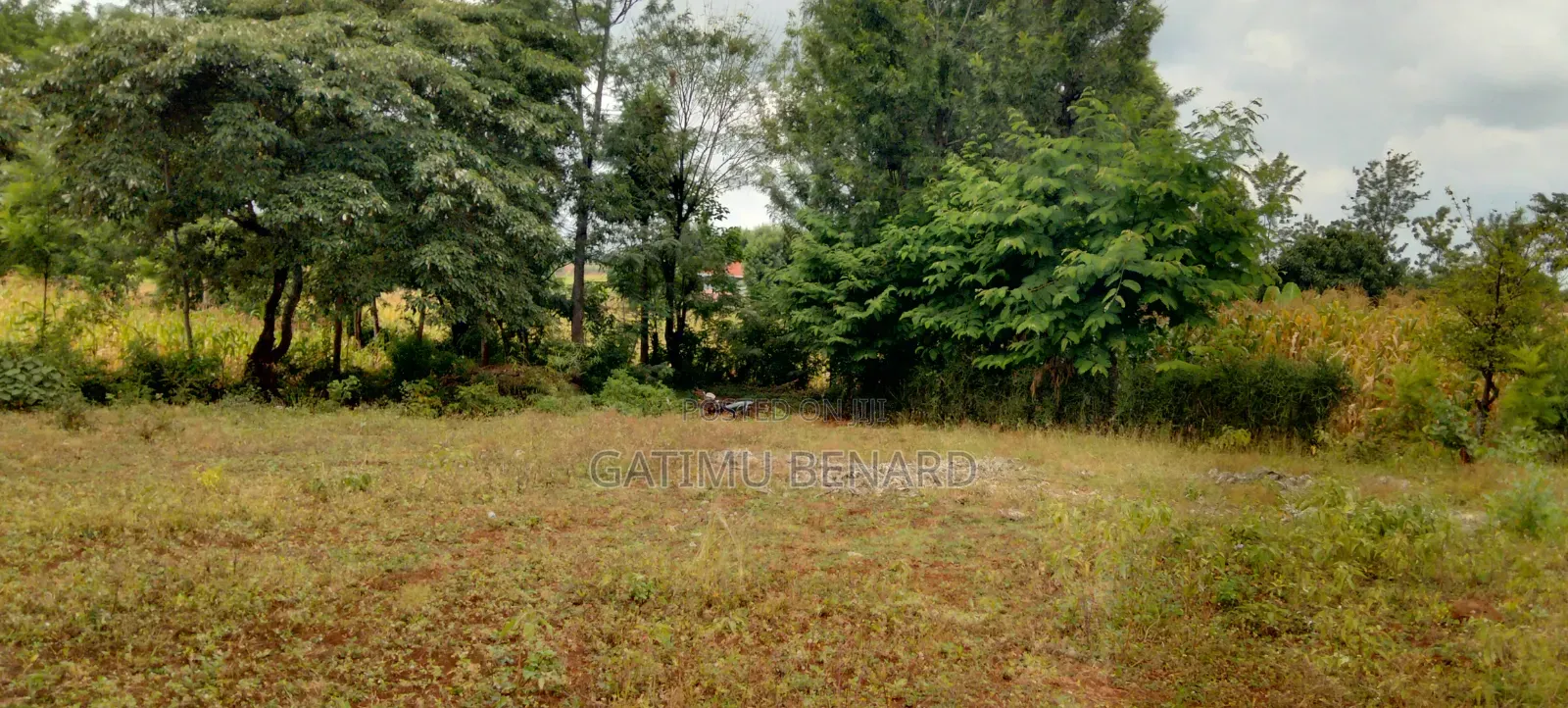 Prime Quarter-Acre Plot for Sale in Kirinyaga Nyangati