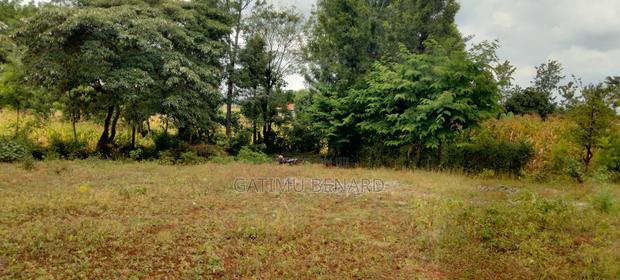 Prime Quarter-Acre Plot for Sale in Kirinyaga Nyangati - thumbnail 5