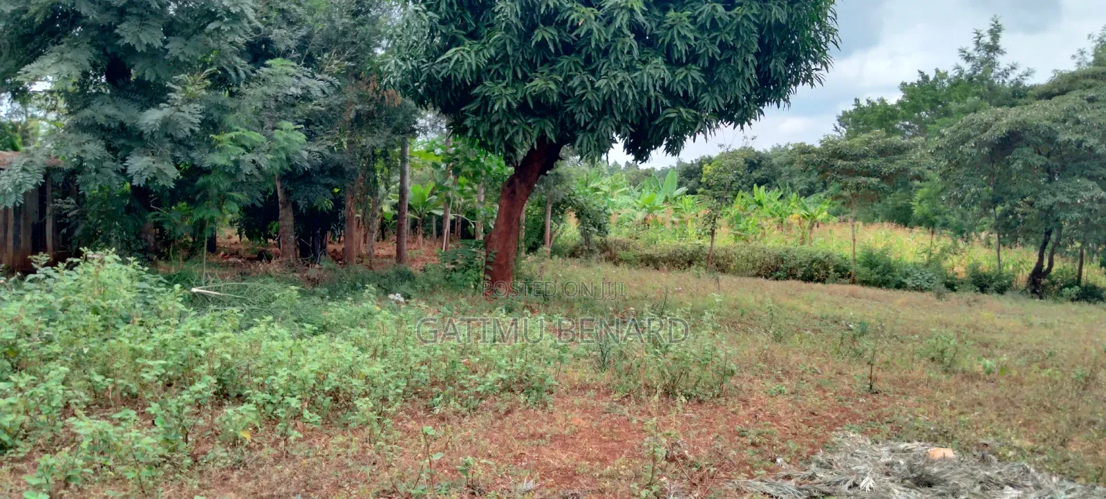 Prime Quarter-Acre Plot for Sale in Kirinyaga Nyangati