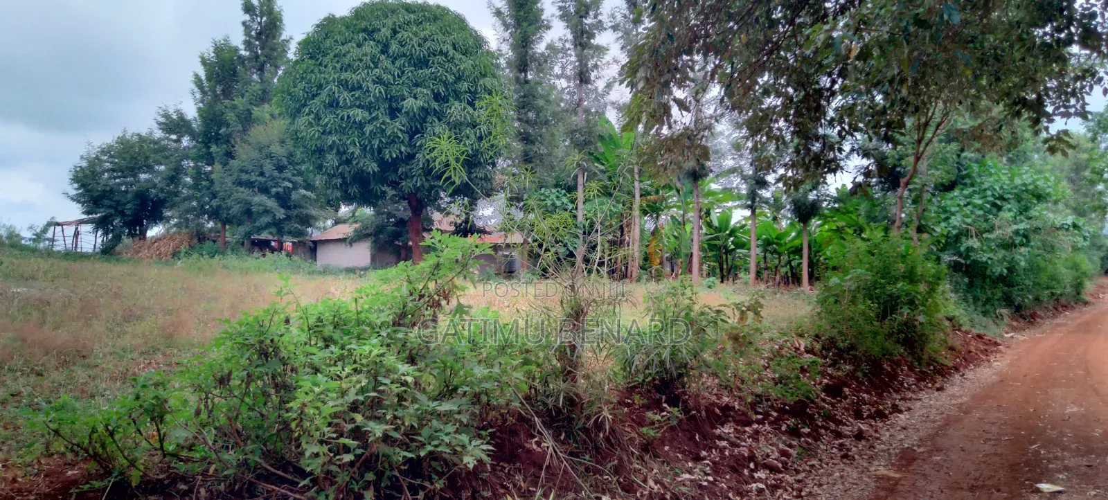 Prime Quarter-Acre Plot for Sale in Kirinyaga Nyangati