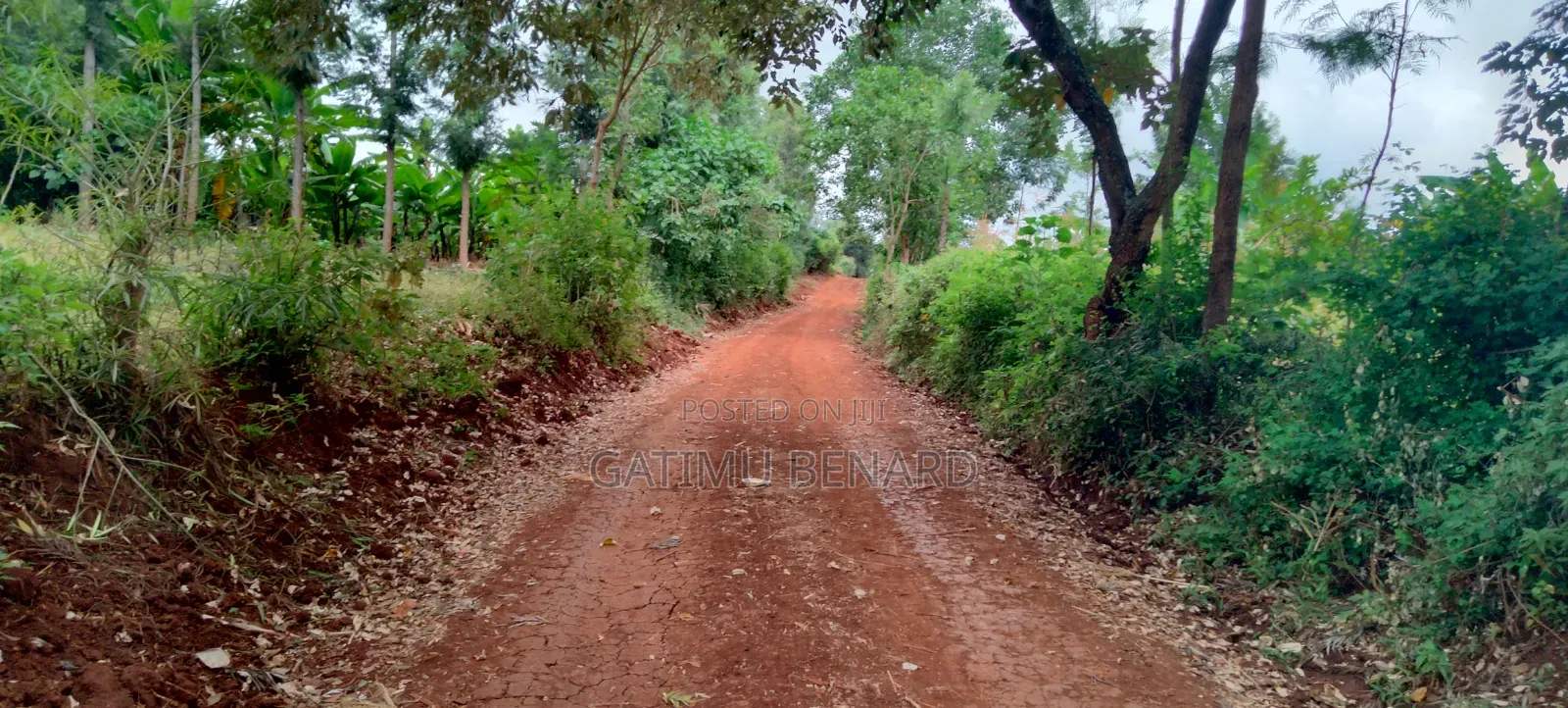 Prime Quarter-Acre Plot for Sale in Kirinyaga Nyangati