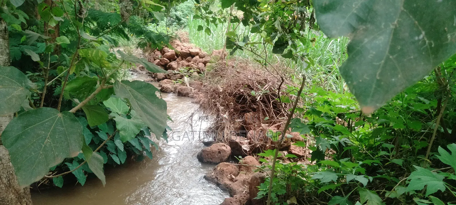 Prime Quarter-Acre Plot for Sale in Kirinyaga Nyangati