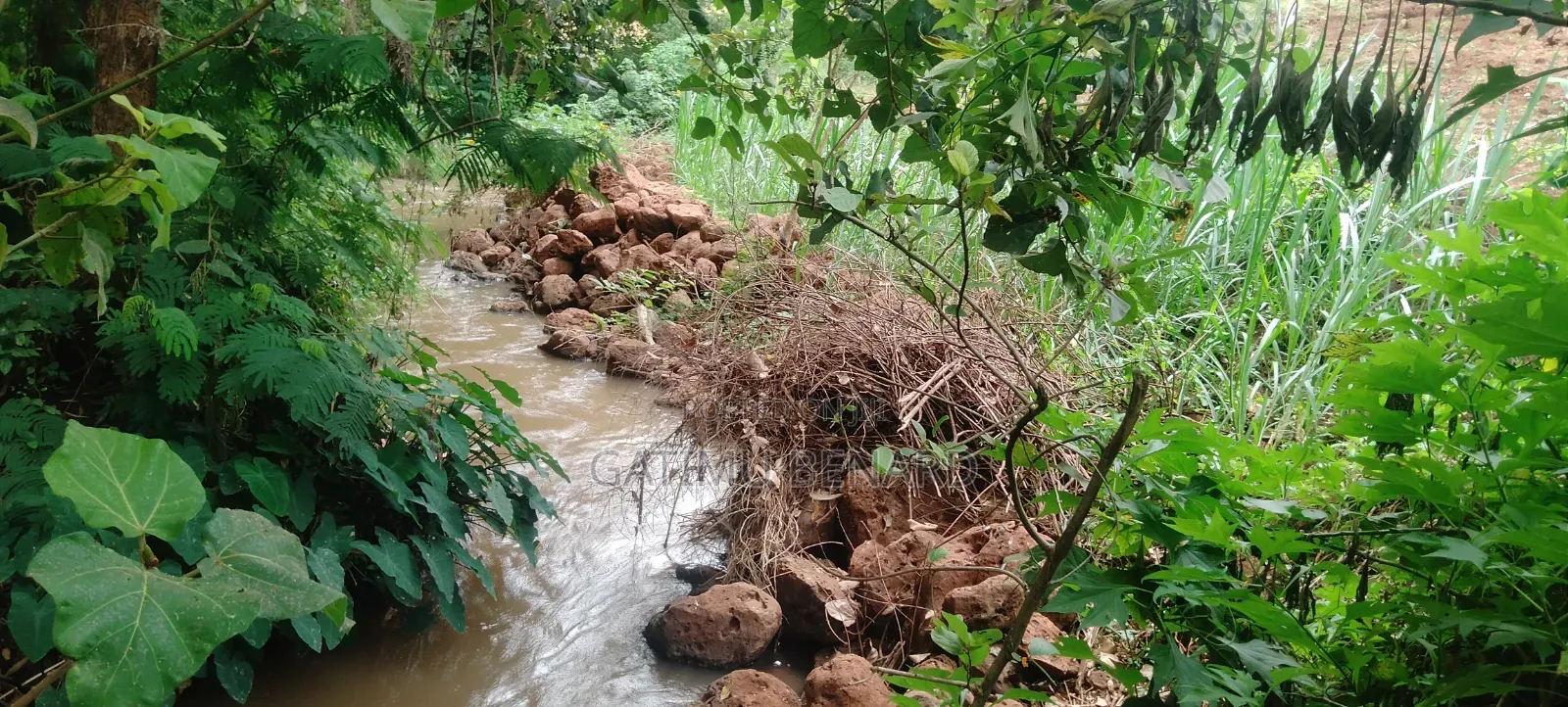 Prime Quarter-Acre Plot for Sale in Kirinyaga Nyangati