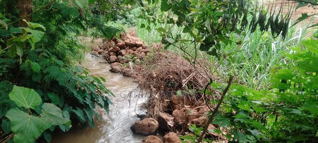 Prime Quarter-Acre Plot for Sale in Kirinyaga Nyangati - thumbnail 10