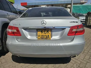 Mercedes-Benz E250 2010 Silver