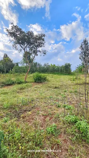 50*100 Prime Plot for Sale. Owner