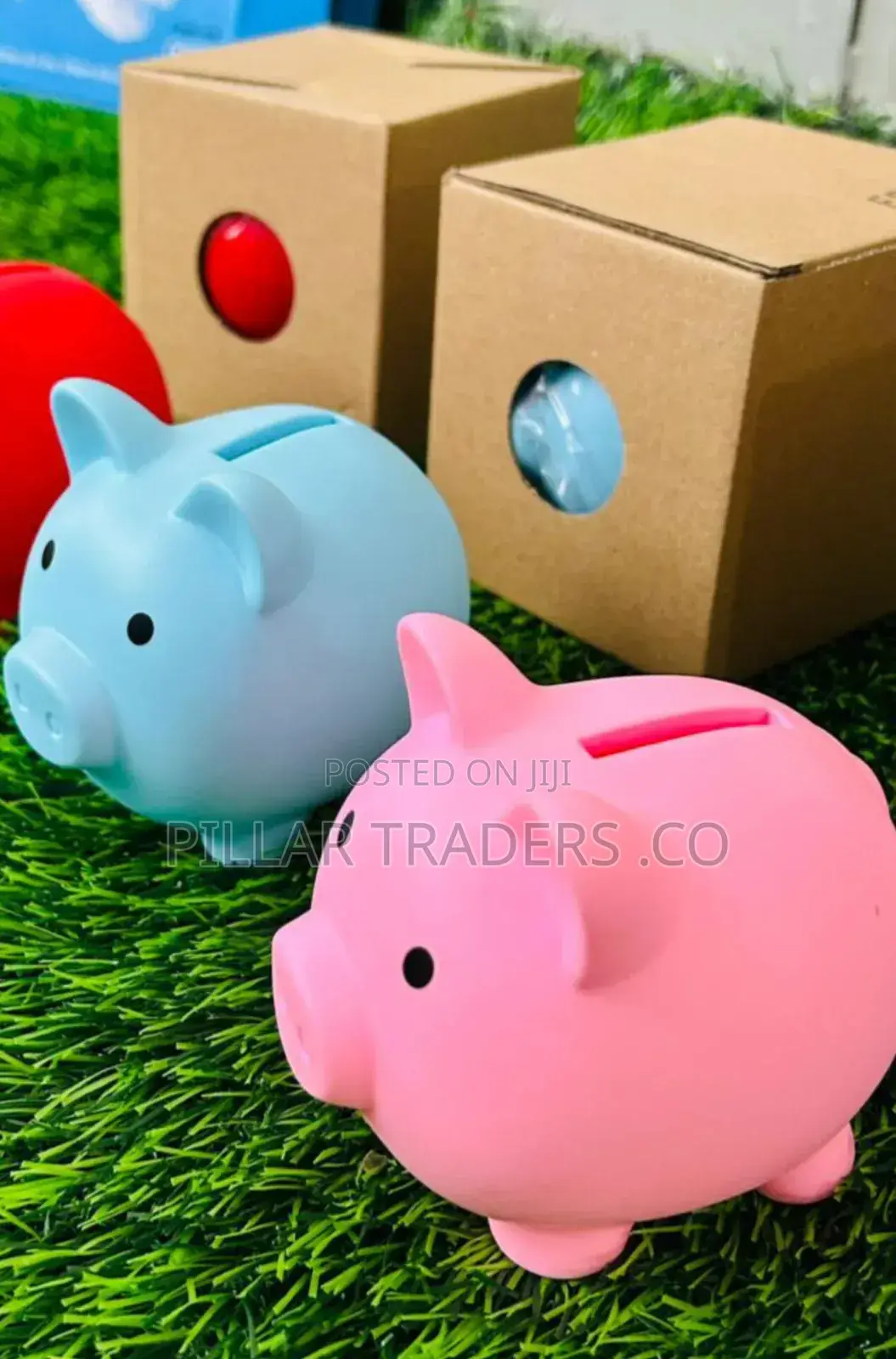 Cute Piggy Bank Coin Savings Box