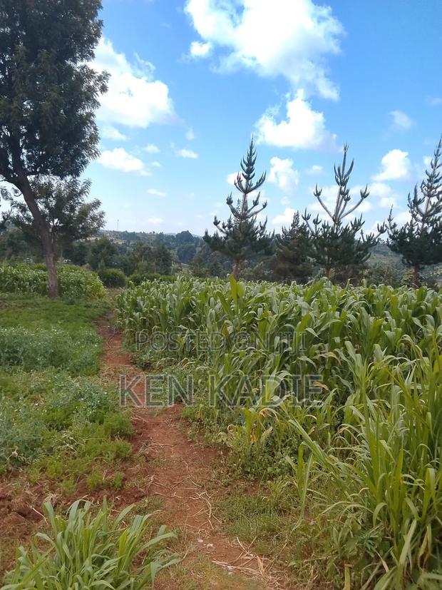 Dry Maze Available - main view
