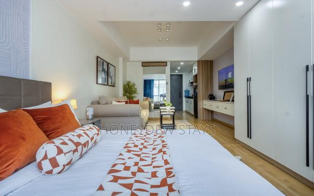 Executive Studio Apartmentkilimani _ Kindarumaroad Opposite China City - thumbnail 12