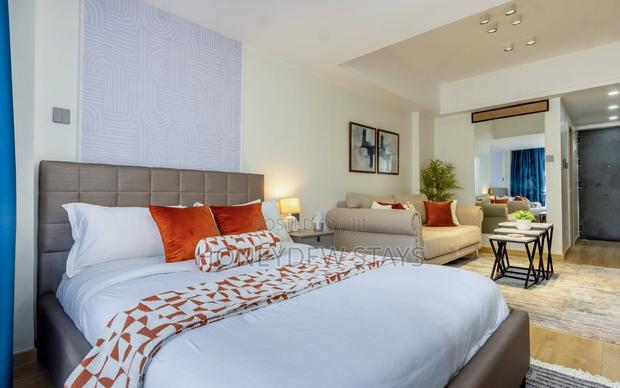 Executive Studio Apartmentkilimani _ Kindarumaroad Opposite China City - thumbnail 15