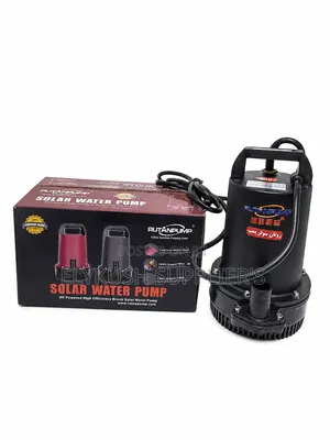 Rutanpump 24v 500w Dc Solar Submersible Water Pump