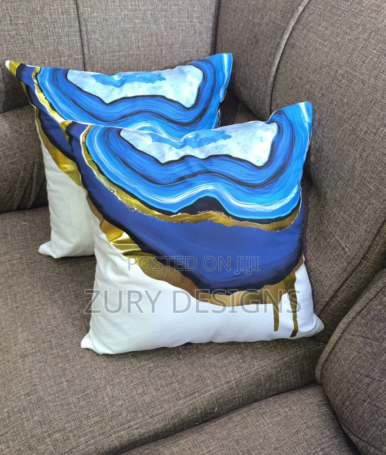 Elegant Throw Pillows for Decorating Your Couch, Bed, Floor and Shelve