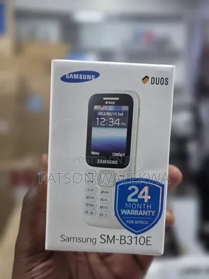 New Samsung B310