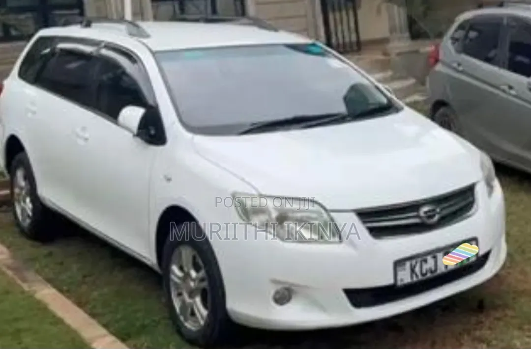 Toyota Corolla Fielder 2009 White