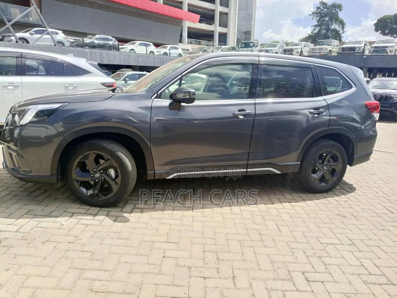 Subaru Forester 2021 Gray