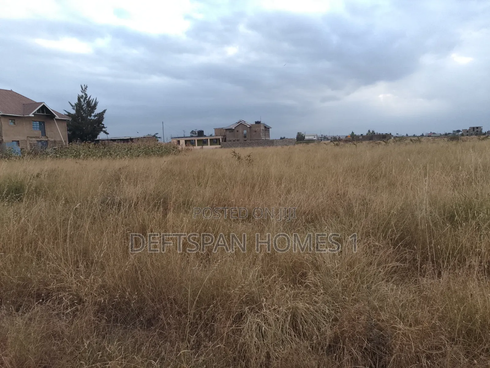50 by 100 Plot Selling at Kantafu