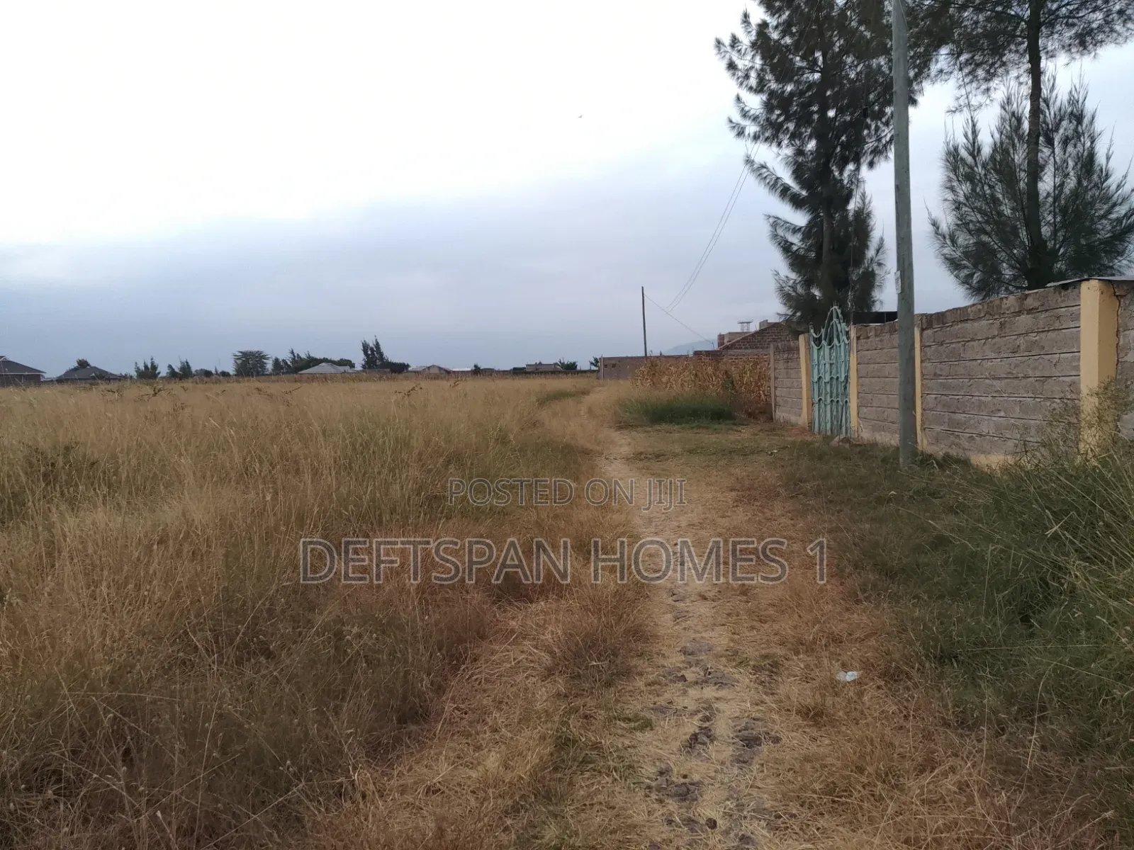 50 by 100 Plot Selling at Kantafu