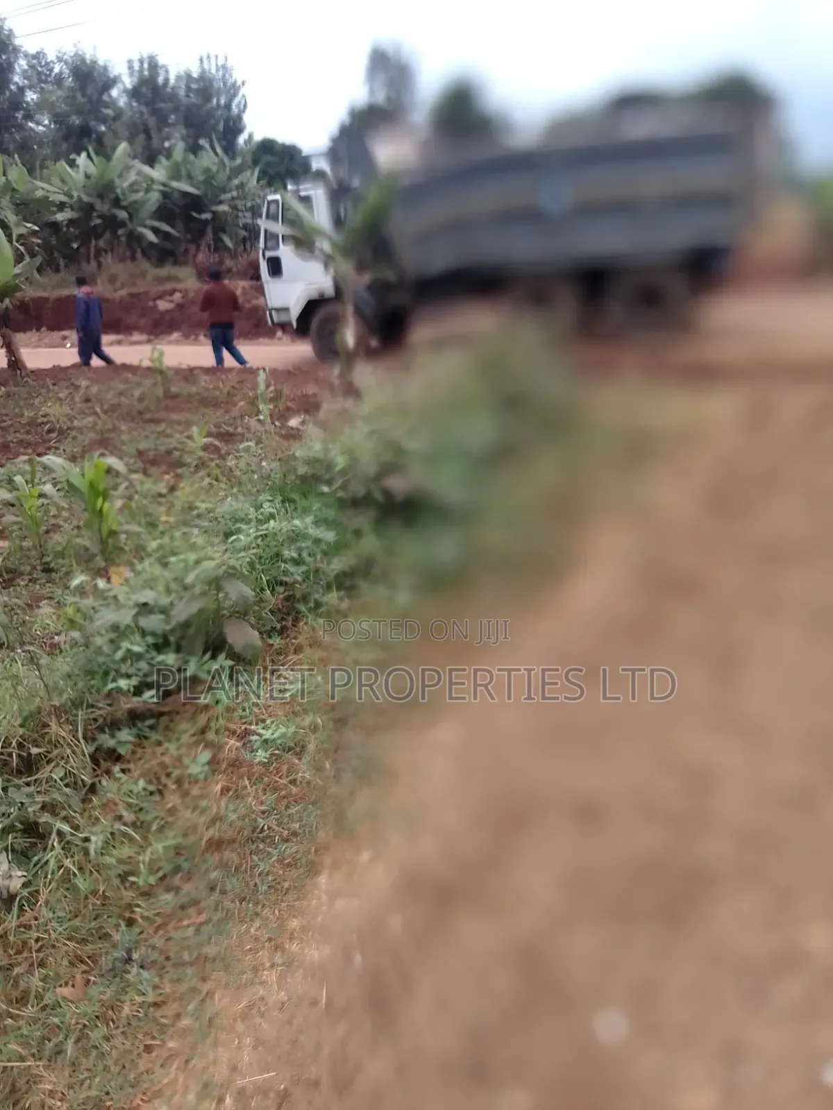 Ruaka / Kagongo Under Tarmac
