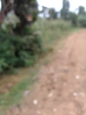 Ruaka / Kagongo Under Tarmac