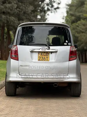 Toyota Ractis 2007 Silver