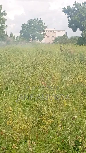 50 X 100 Kilifi Komaza