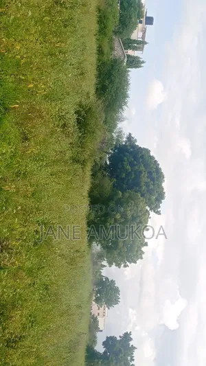 50 X 100 Kilifi Komaza
