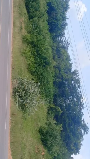 50 X 100 Kilifi Komaza