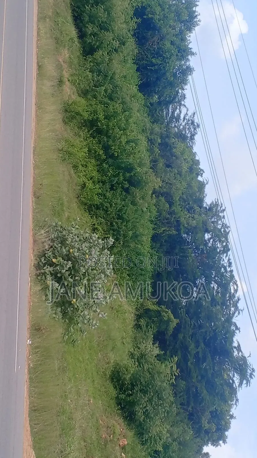 50 X 100 Kilifi Komaza