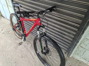 29er MTB Large