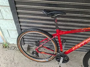 29er MTB Large