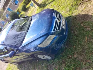Volkswagen Tiguan 2011 Blue