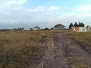 50 by 100 Plot at Kantafu