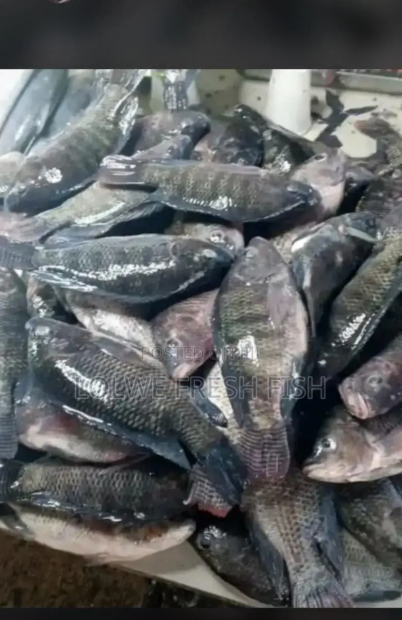 Lolwe Fresh Fish