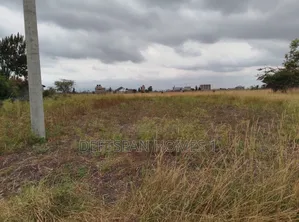 50 by 100 Plot Touching Kangundo Road