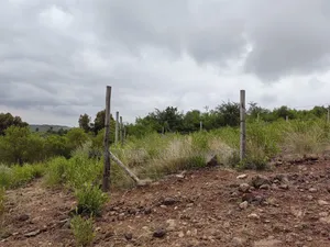 50x100 Plot for Sale in Nachu Ndacha Kikuyu Kiambu County.