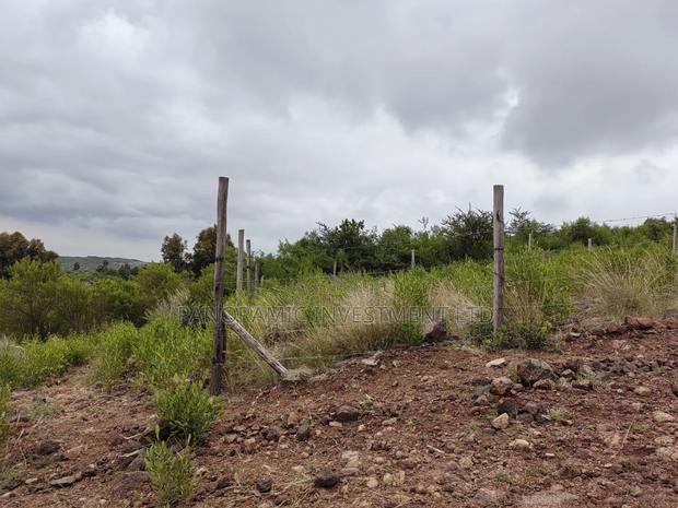 50x100 Plot for Sale in Nachu Ndacha Kikuyu Kiambu County.