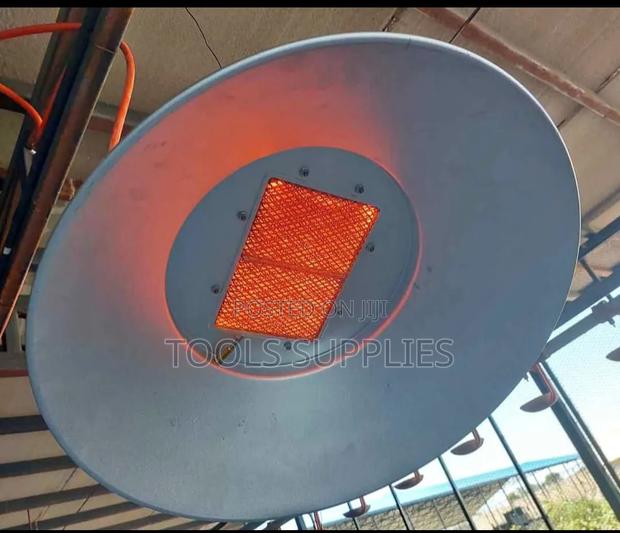 Gas Brooder 2000 Chick's