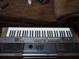 Music Instruments
