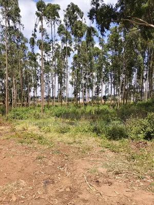 2 Acres Land for Sale in Kamangu