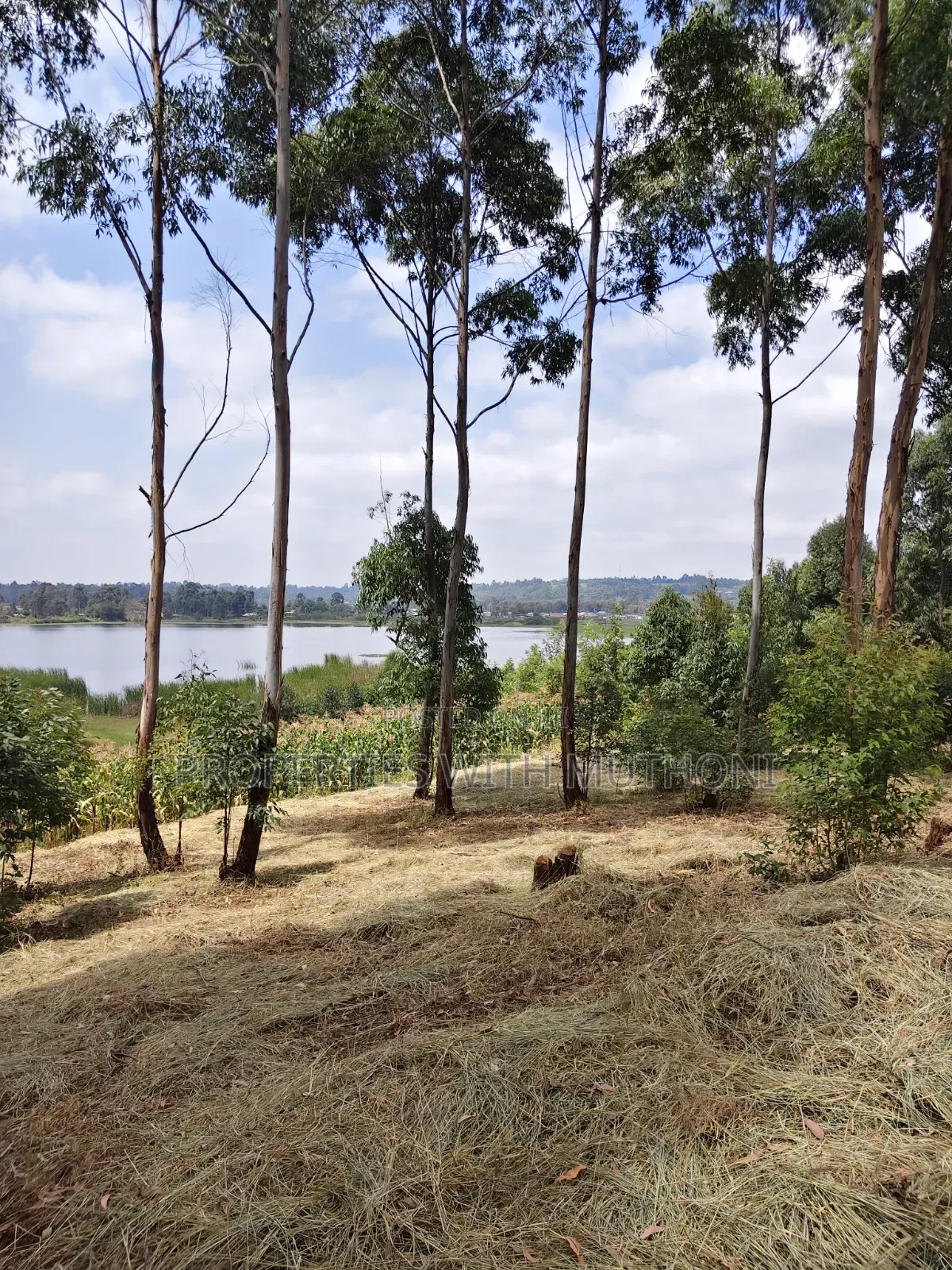 2 Acres Land for Sale in Kamangu